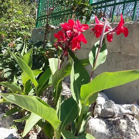 Sunny Day