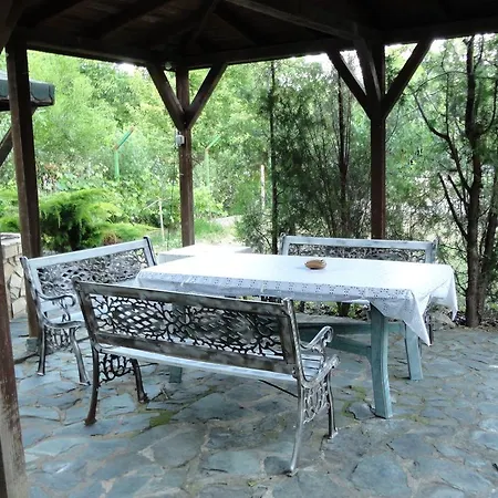 Sunny Day Saints Constantine and Helena